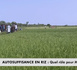 AUTOSUFFISANCE EN RIZ AU SENEGAL une priorité pour l'état du sénégal : Quel rôle pour Matam  ?