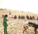 ​LA LUTTE SENEGALAISE : Entre chocs de géants et horizon olympique pour 2026