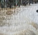 Des pluies annoncées par L’Anacim