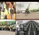 RENFORCEMENT DE SA FLOTTE AVEC UN NOUVEAU BOEING 737-800 : Air Sénégal prend de l’altitude avec « Gorée »