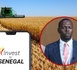 MOUHAMED SALL LORS DE L'ATELIER FLOUR RISING AFRICA « Le blé cultivé au Sénégal est aussi compétitif que le blé importé »