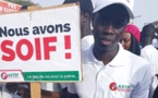 Contribution : soif d'émergence... (Par Bassirou Diomaye Faye)
