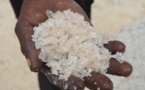 RAPPORT GREENPEACE: «le sel sénégalais est mauvais. Il contient du plastique»