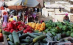 MOUVEMENT D'HUMEUR AU MARCHÉ DE DIOURBEL: Les vendeurs battent le macadam pour dénoncer la parole non tenue du ministre Alioune Sarr