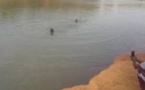 Deux corps sans vie repêchés dans le fleuve Gouloumbou