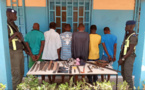 NGUEKOKH :  Un gang de malfaiteurs démantelé