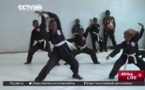 Le kung-fu "en ascension" avec plus de 12.000 pratiquants officiels (DTN)