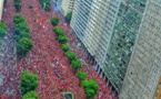 PHOTOS : Flamengo, une foule dingue à Rio !