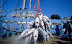 ACCORD DE PECHE SENEGAL: L’UE veut un nouveau partenariat de pêche portant sur 10.000 tonnes par an