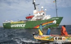 ACCORD DE PECHE UNION EUROPEENNE-SENEGAL: Greenpeace tire sur l’Etat, attaque l’Europe et demande une procédure d’accord transparente