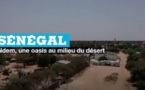 Sénégal : Ndem, une oasis au milieu du désert