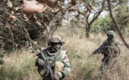 OPERATION DE SECURISATION EN CASAMANCE L’armée pilonne les bases avancées du front sud-ouest de César Atoute Badiate
