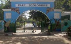 SALAIRES BAS, DIFFICILES CONDITIONS DE TRAVAIL, DISCRIMINATION ET SUREXPLOITATION  Des employés du Parc zoologique et forestier de Hann fustigent la gestion du capitaineSèye