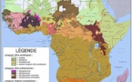 Liste des groupes ethniques d'Afrique avec environ 2 000  langues .