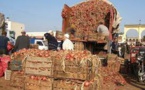 Alpha Baïla Guèye et son camion rempli d’oignon pour Mermoz Sacré-Cœur