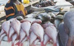 Chaque Sénégalais mange 29 kg de poisson par an