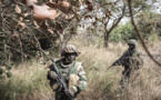 DES REPRISE BOMBARDEMENTS DE L'ARMÉE EN CASAMANCE :La traque de Salif Sadio se corse