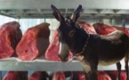 VENTE DE PRODUIT IMPROPRE A REBEUSS :Un Nigérian arrêté avec un chariot contenant de la viande d’âne