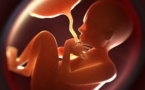 Un fœtus de 7 mois repêché dans une fosse septique à Dalifort