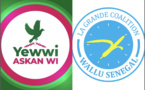 Yewwi et Wallu investissent Yacine Ngada Diène et Serigne Abo Mbacké Thiam à Dakar