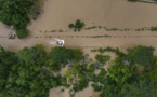 La forêt classée de Mbao est inondée et risque de disparaître