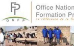 Onfp : Souleymane Soumaré viré, Mounirou Ly nouveau Boss
