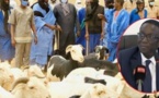 AMADOU BA RASSURE LES DAKAROIS SUR UN BON APPROVISIONNEMENT EN MOUTONS :«Depuis ce week-end, il n’y a pas moins de quatre mille moutons qui entrent à Dakar chaque jour»