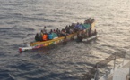 157 Sénégalais candidats à l’émigration irrégulière secourus hier