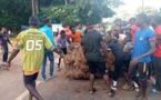 Ziguinchor : la nationale barrée par les jeunes