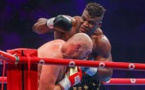Boxe: "Je suis une bête blessée mais pas abattue", prévient Francis Ngannou