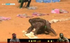 Lutte : Modou Lô bat Ama Baldé et conserve sa couronne de Roi des arènes