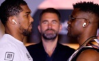 Boxe explosif très attendu en Arabie saoudite ce soir 23H10 GMT: Ngannou défie Anthony Joshua pour un combat de rêve