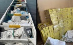 Deux pirogues avec de faux médicaments interceptées…