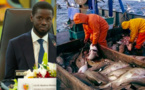 LE PRÉSIDENT DE LA RÉPUBLIQUE VEUT NETTOYER LE SECTEUR DE LA PÊCHE : Diomaye demande le renforcement de la lutte contre la pêche illicite, l’audit du pavillon sénégalais et l’évaluation des accords et licences de pêche