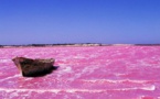 Le Lac Rose ne sent plus…la rose