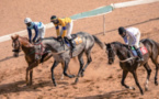 Courses hippiques : l'agriculture, la souveraineté alimentaire et l'élevage à l'honneur ce dimanche