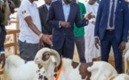 Le ‘’wakhalé’’ d’enfer de DIomaye pour acheter 2 moutons
