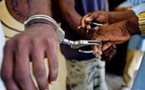 DEUX ETUDIANTS ET UN ÉLÈVE DE TERMINALE ONT COTISÉ POUR ACHETER 250G DE HASCHISCH : Ils sont condamnés à des peines de prison ferme pour trafic et détention de drogue en vue de l'usage personnel