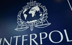 Sénégal/Répression de la cybercriminalité : Opération "Serengeti" 8 personnes arrêtées par Interpol dans le cadre d'une escroquerie d'une valeur de 3 milliards 700 millions FCFA