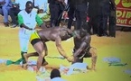 Combat royal : Siteu débouté en Appel, Modou Lô définitivement vainqueur