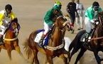 Résultat cinquième journée des courses hippiques à l’hippodrome municipal de Dahra ce dimanche 19 janvier
