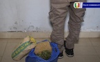 Trafic : 2,5 kg de chanvre indien saisis par L'Ocrtis