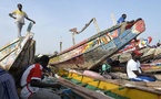 LA CRISE DE LA PECHE AU SENEGAL ENTRAINE UNE MIGRATION FORCEE VERS L'EUROPE : «La mer a été vendue»