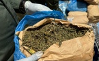 8 kilogrammes de chanvre saisis à Kaolack par L'Ocrtis