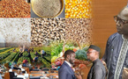 CHEIKH DIBA LORS DU VOTE DU BUDGET DU MINISTERE DE L’AGRICULTURE … : « La solution de l’agriculture n’est pas toujours budgétaire, il faut réussir le pari du rendement »