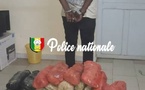 Trafic de drogue : 25,5 kg de chanvre indien saisis à Fatick