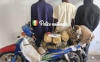 Kolda : la police saisit 5,101 kg de chanvre indien ; trois suspects arrêtés