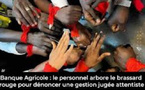 CRISE SOCIALE A LA BANQUE AGRICOLE : Le personnel, en brassards rouges, pour exiger une refonte de la gestion