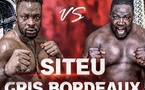 FACE TO FACE GRIS BORDEAUX VS SITEU : Choc de titans annoncé, la première étincelle attendue ce vendredi !