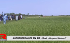 AUTOSUFFISANCE EN RIZ AU SENEGAL une priorité pour l'état du sénégal : Quel rôle pour Matam  ?